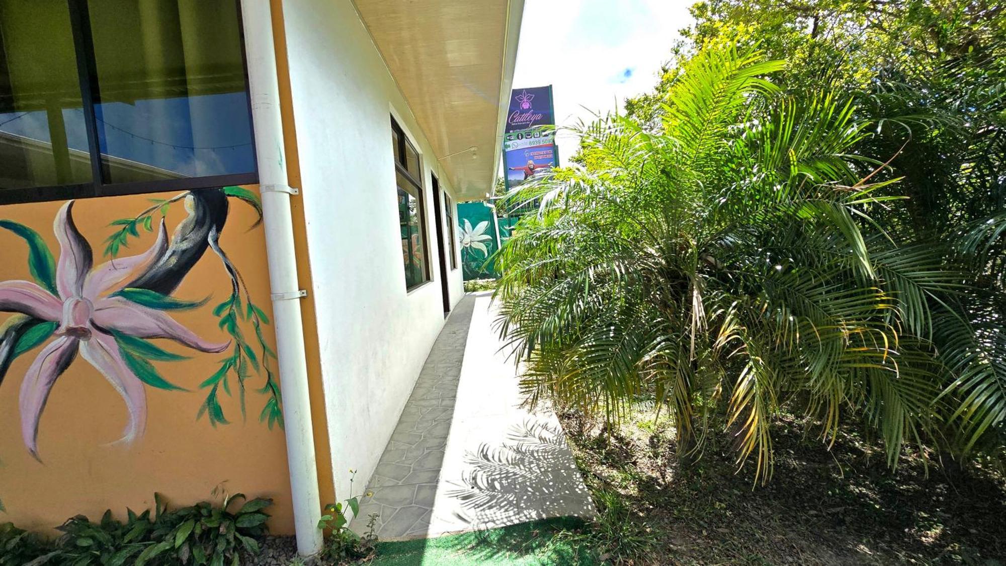 Hostel Cattleya - Monteverde, Costa Rica Exterior photo