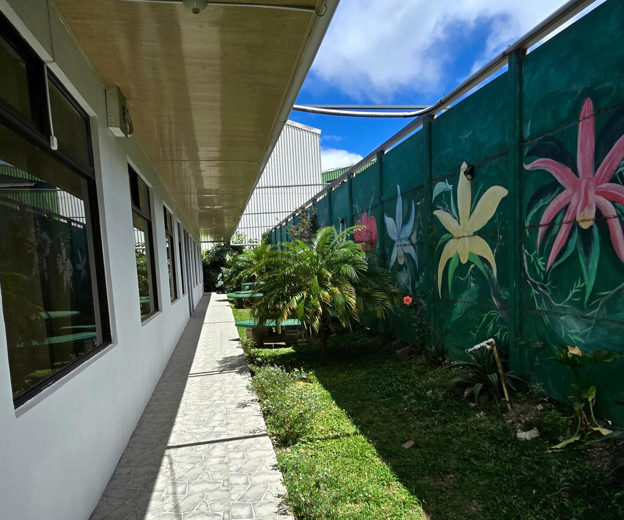 Hostel Cattleya - Monteverde, Costa Rica Exterior photo